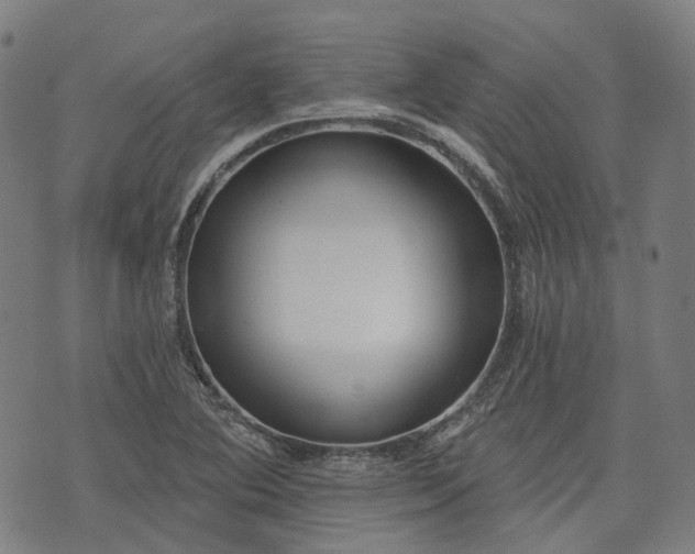 X0000074301364200609011436