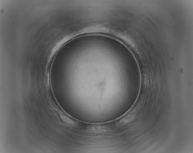 X0000074301366200609011436