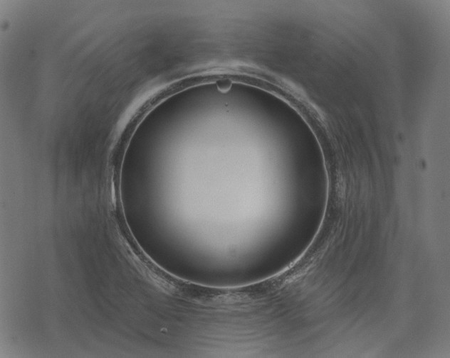 X0000074301368200609011436