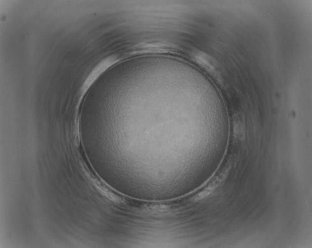 X0000074301370200609011436