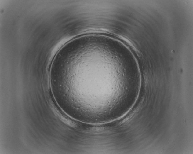 X0000074301371200609011436