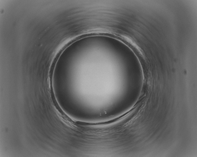 X0000074301372200609011436