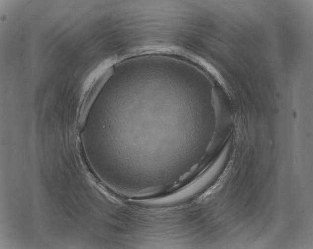 X0000074301373200609011436