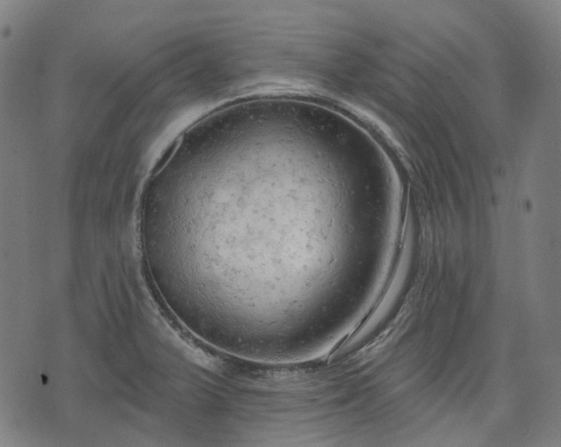 X0000074301375200609011436