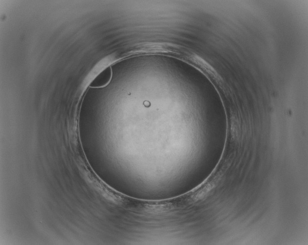 X0000074301378200609011436