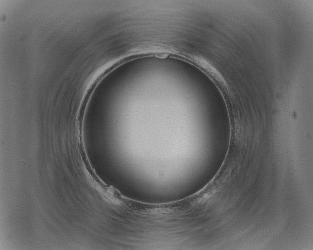 X0000074301380200609011436