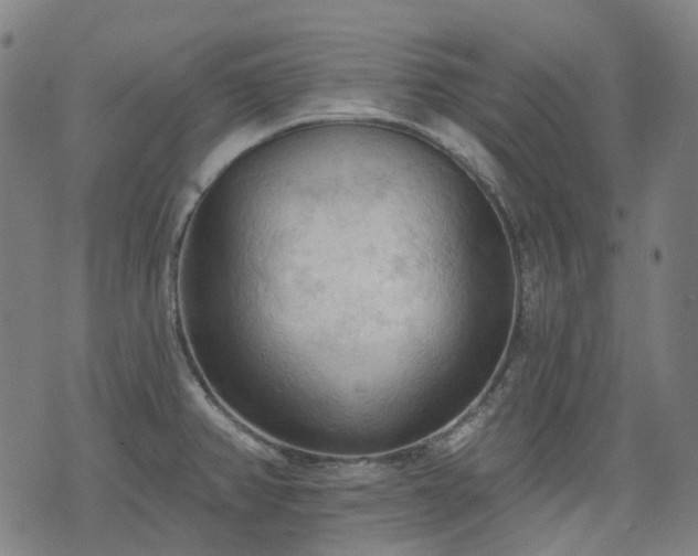 X0000074301382200609011436