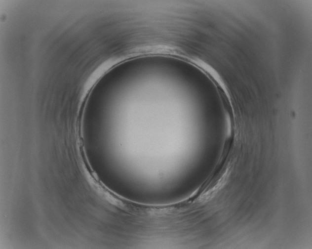 X0000074301389200609011436