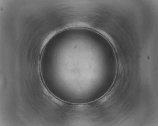 X0000074301390200609011436