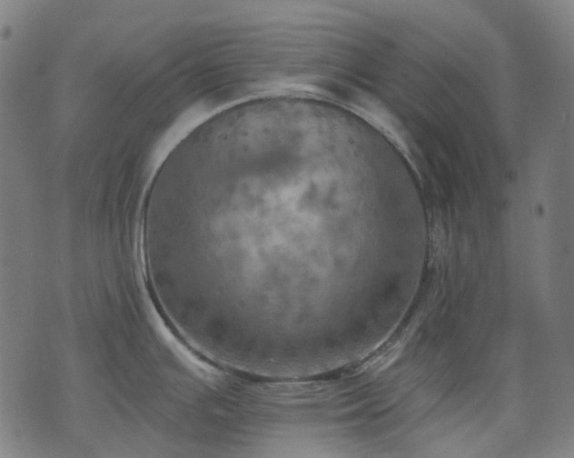 X0000074301391200609011436