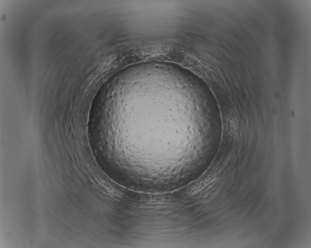 X0000074301393200609011435