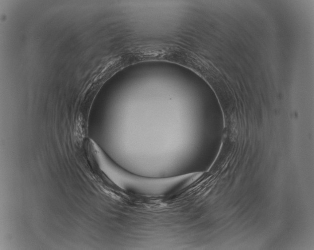 X0000074301394200609011435