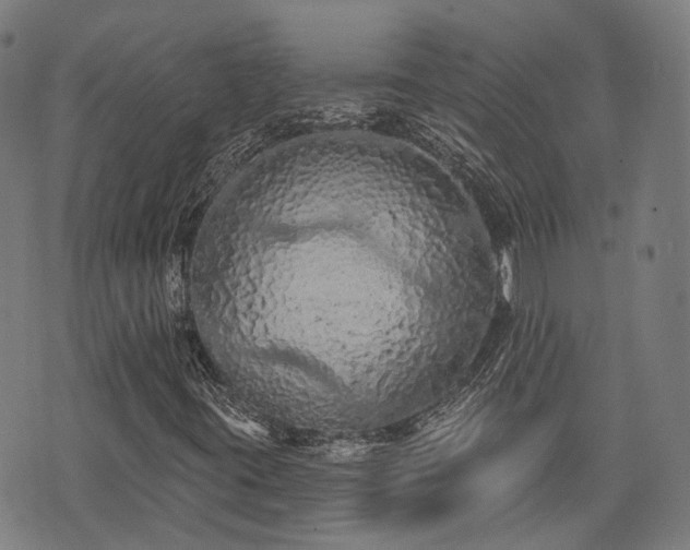 X0000074301395200609011435