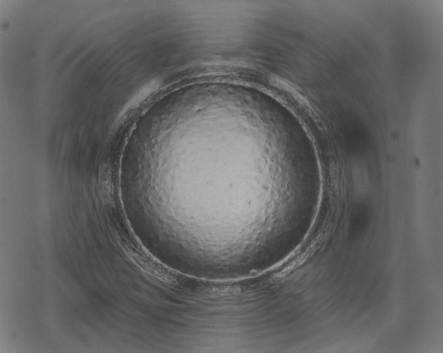 X0000074301403200609011435