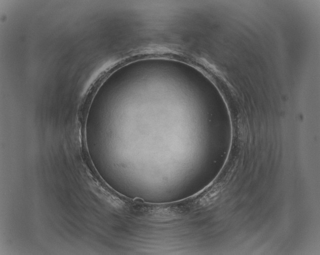 X0000074301408200609011435