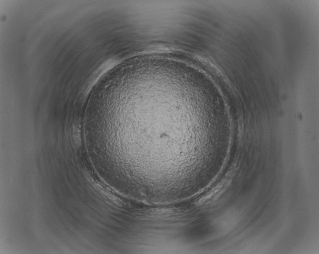 X0000074301409200609011435
