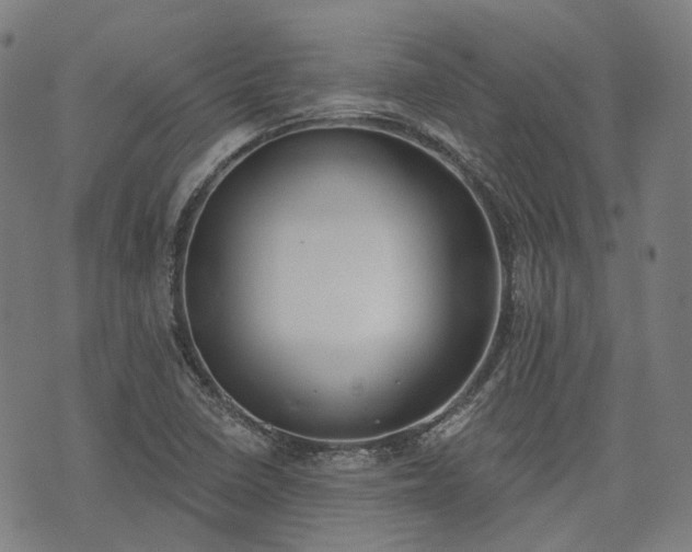 X0000074301410200609011435