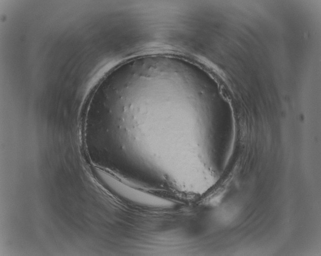 X0000074301415200609011435