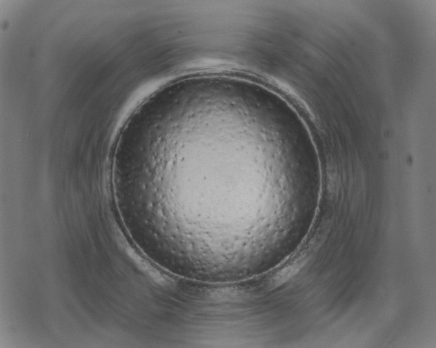 X0000074301421200609011436