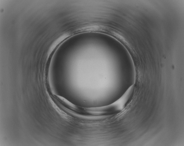X0000074301426200609011436