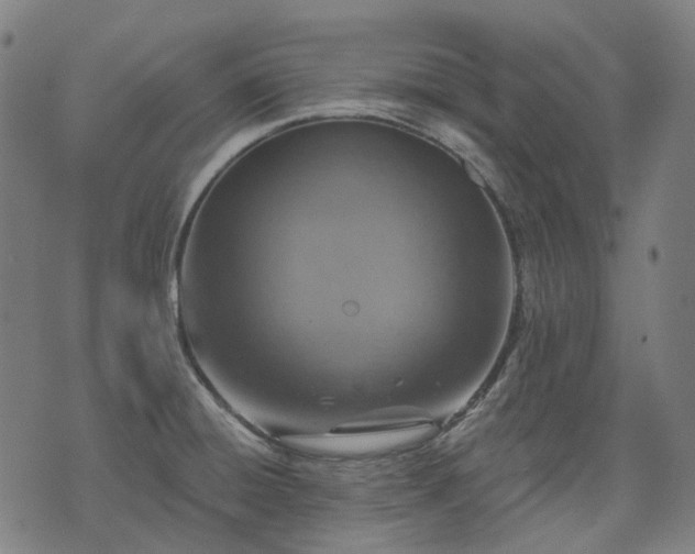 X0000074301428200609011436