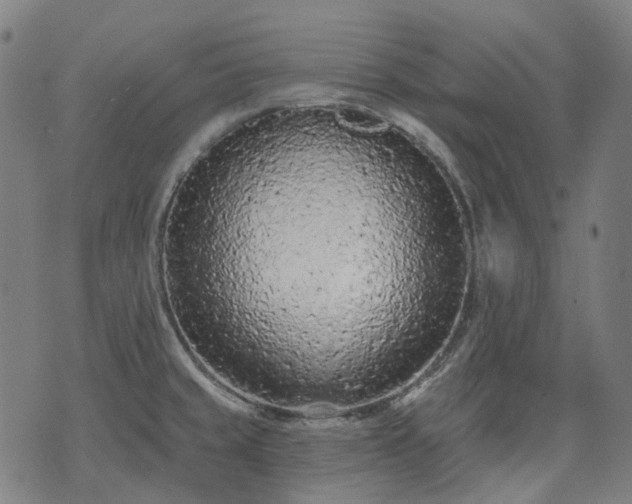 X0000074301429200609011436