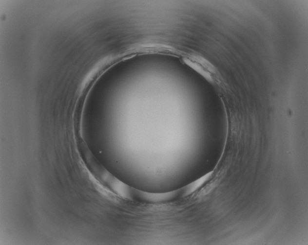 X0000074301430200609011436