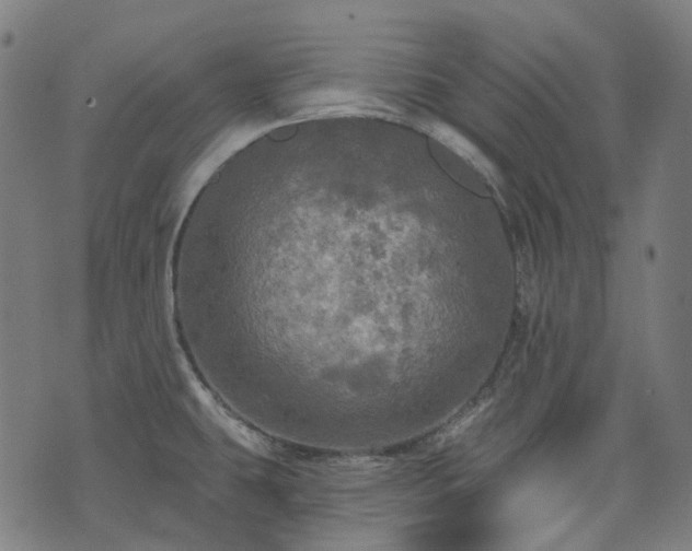 X0000074301431200609011436