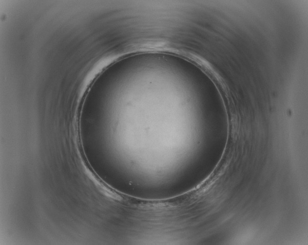 X0000074301432200609011436