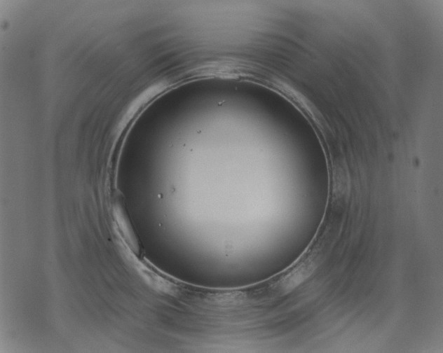 X0000074301434200609011436