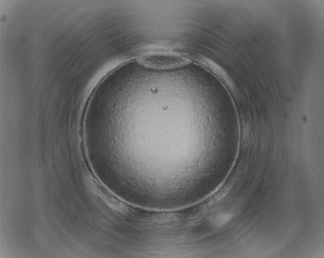 X0000074301435200609011436