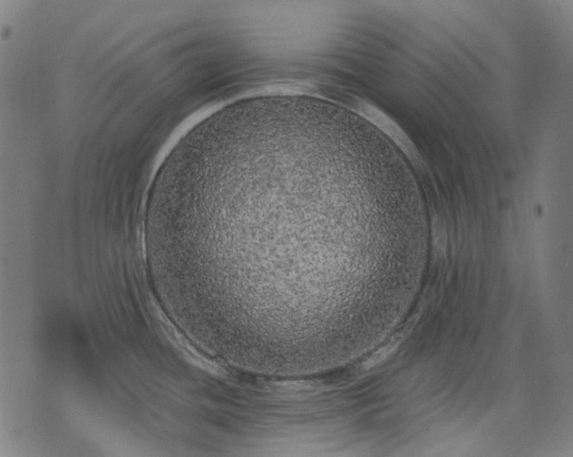 X0000074301436200609011436