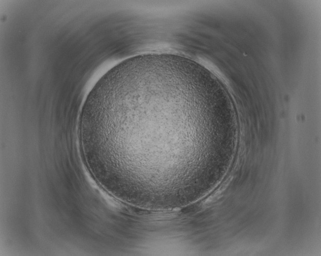 X0000074301440200609011436