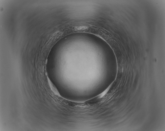 X0000074301441200609011435