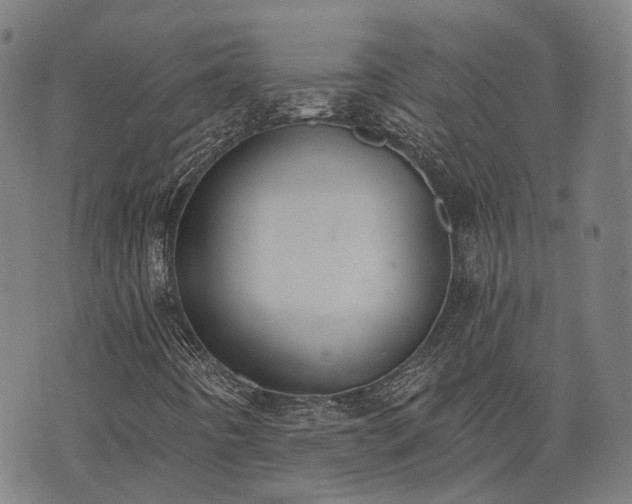 X0000074301442200609011435