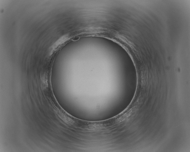 X0000074301451200609011435