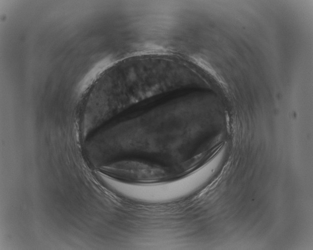 X0000074301455200609011435