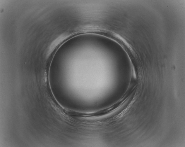 X0000074301461200609011435