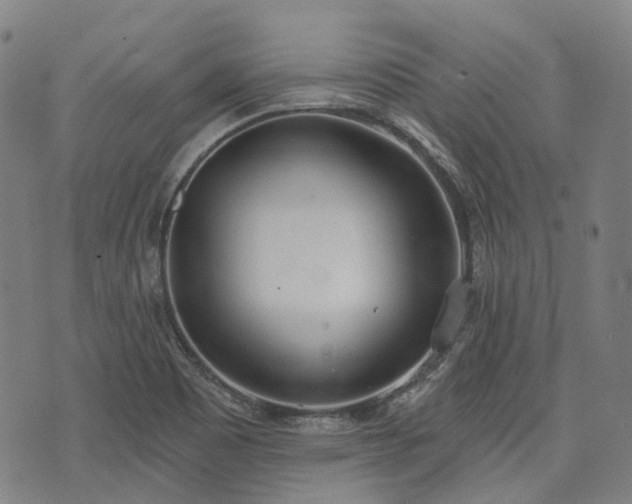 X0000074301465200609011435