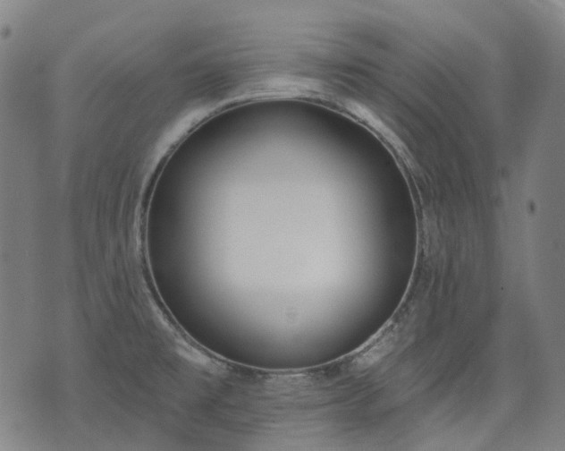 X0000074301477200609011435