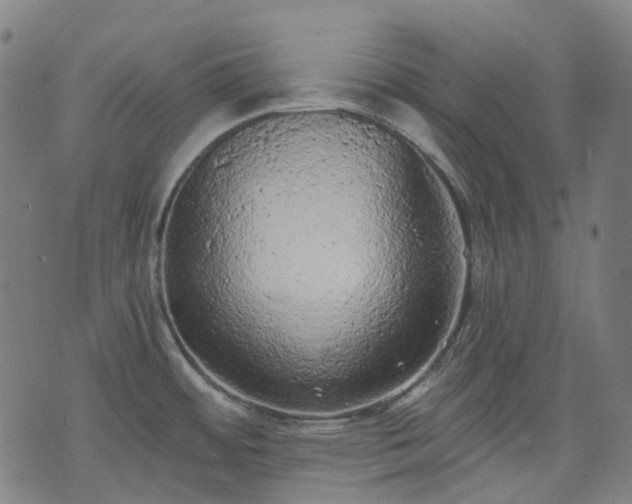 X0000074301484200609011434