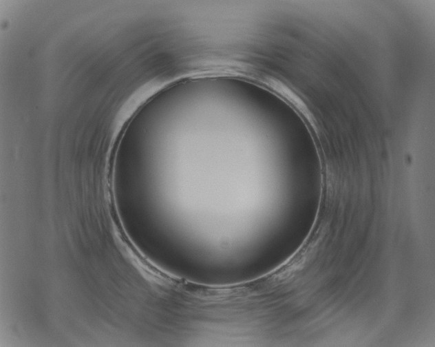 X0000074301485200609011434