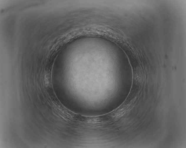 X0000074301490200609011434