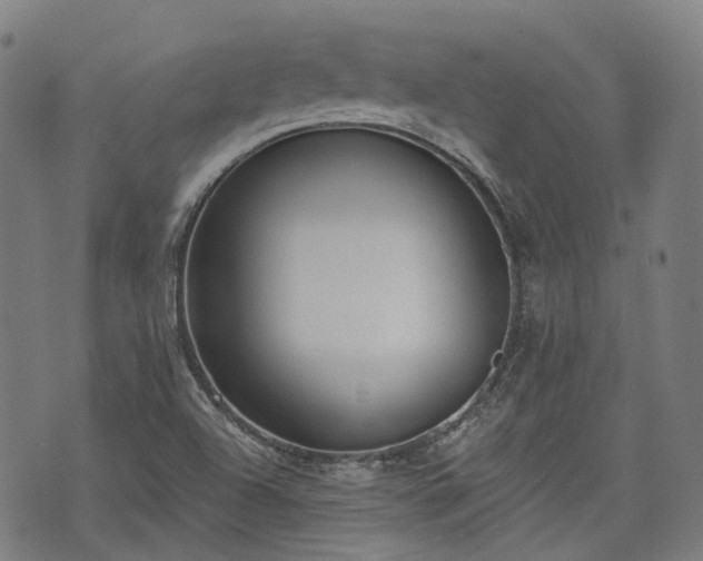 X0000074301504200609011434