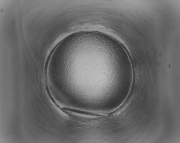 X0000074301525200609011434