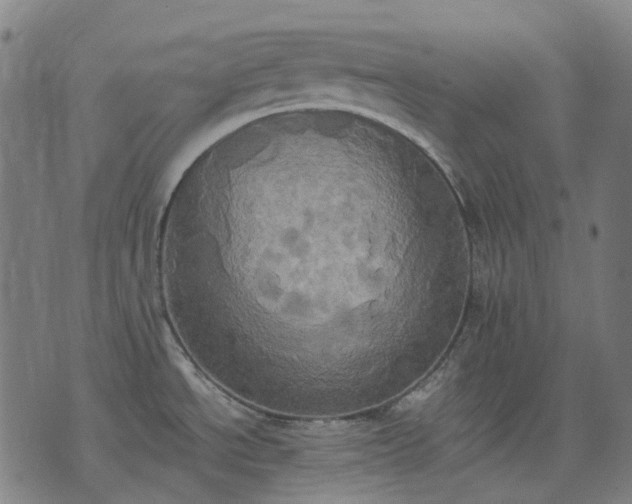 X0000074301534200609011434