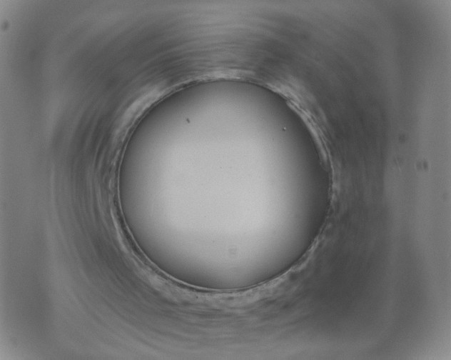 X0000074300001200609081929