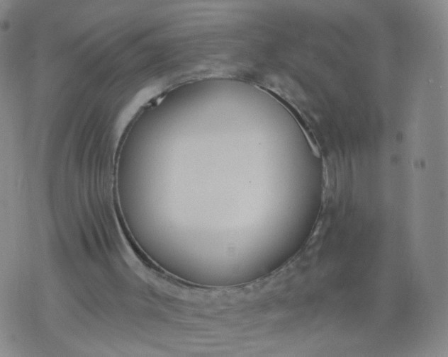 X0000074300003200609081929