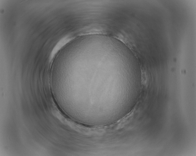 X0000074300004200609081929