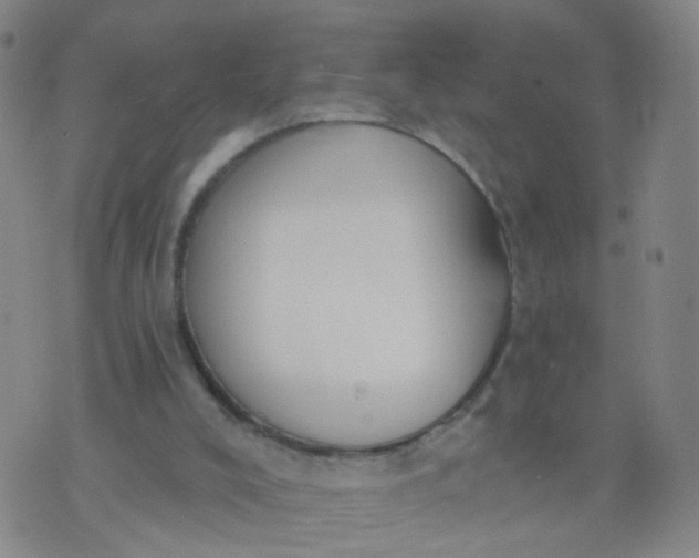 X0000074300008200609081928